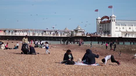 people relaxing on brighton beach with seagulls