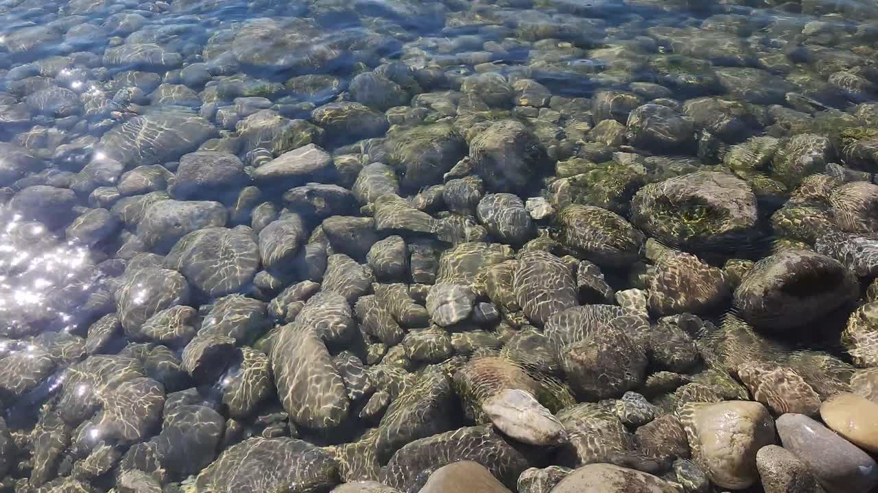 aguas poco profundas en la orilla del río rin en suiza