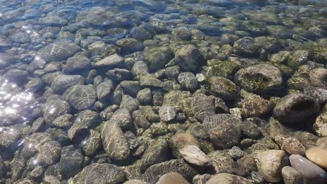 Flachwasser-Am-Ufer-Des-Rheins-In-Der-Schweiz