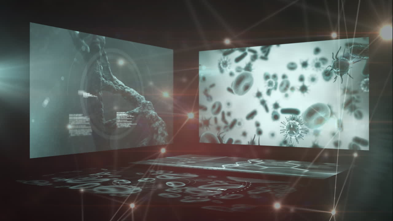 데이터 프로세싱을 통한 연결 네트워크의 애니메이션