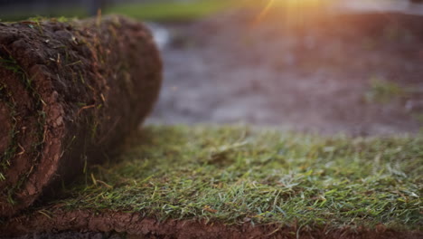 las manos despliegan un rollo de césped natural verde