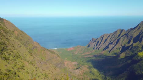 4k hawaii kauai boom up y leve giro de derecha a izquierda desde un árbol hasta el hermoso cañón y la vista al mar desde el mirador de pu&#39;u kila