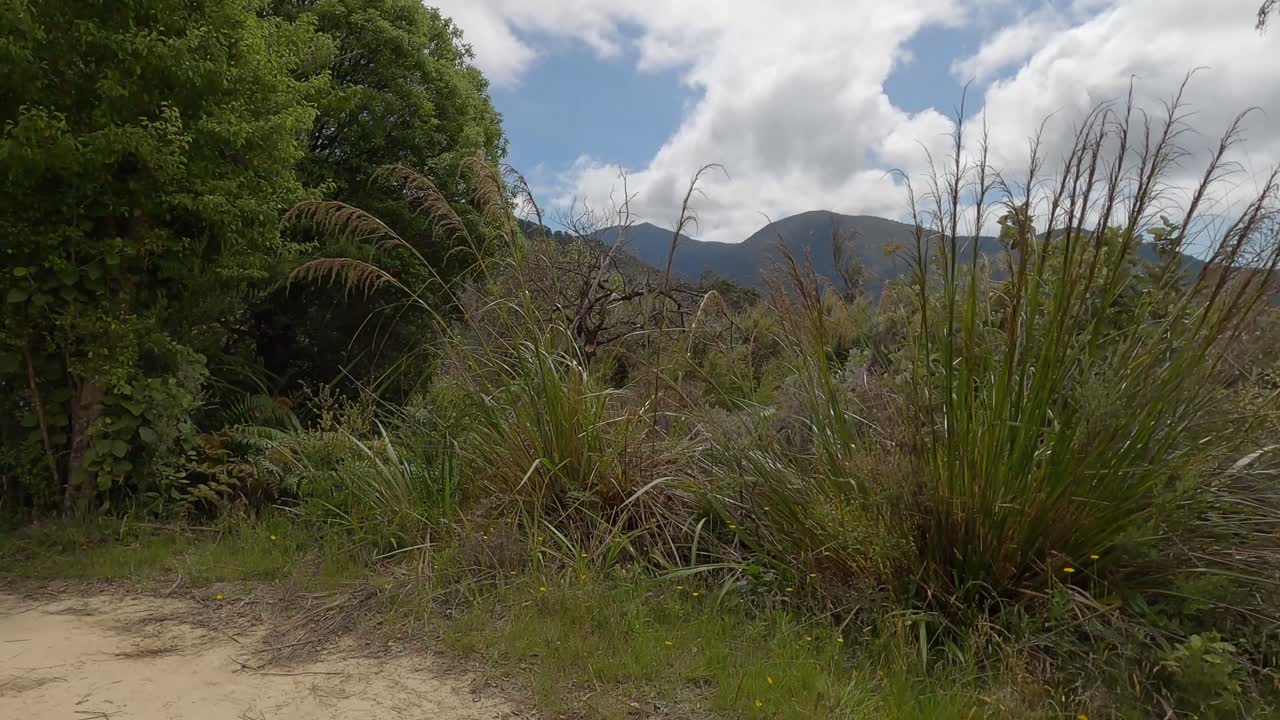 camine a paso ligero y deténgase para admirar la increíble vista de la exuberante vegetación, las colinas y el paisaje marino en verano