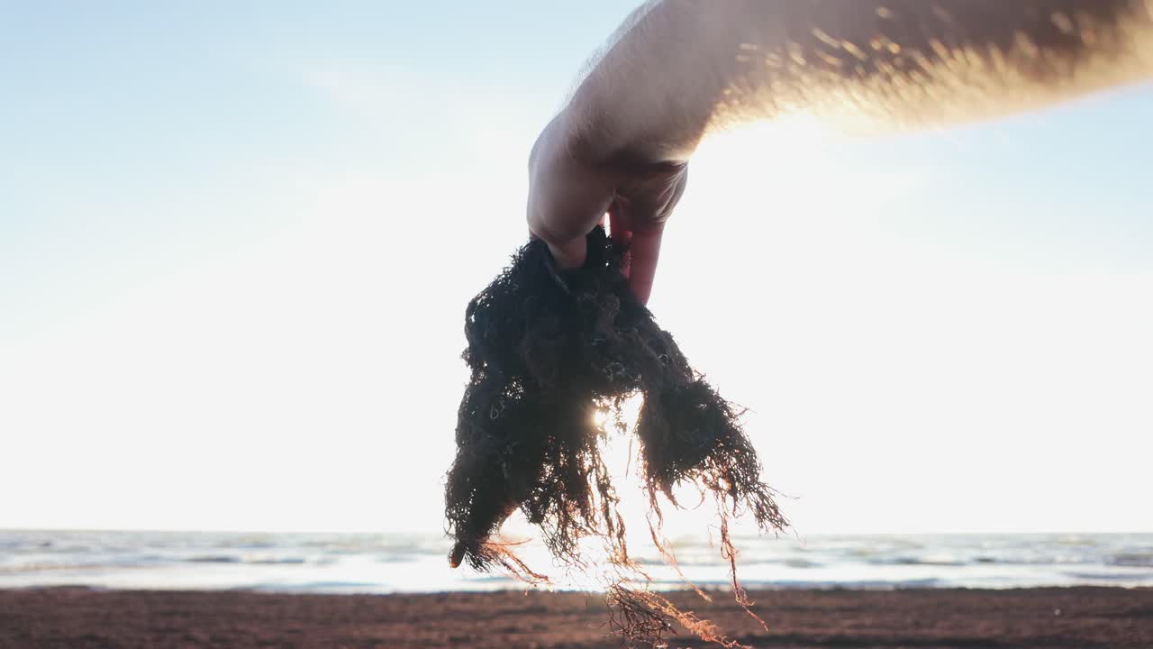 Man Collecting Seaweed on Baltic Beach – Symbol of Environmental Crisis