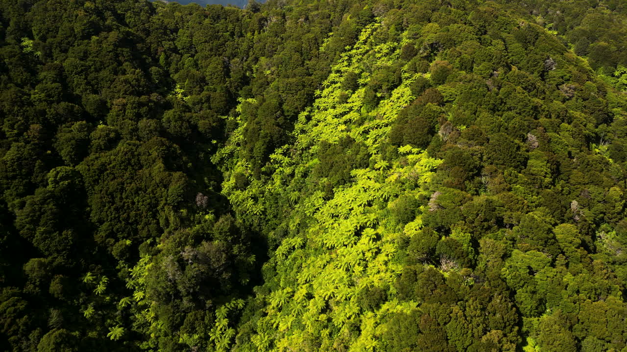 Aerial view of Abel Tasman National Park wilderness reserve at the north end of New Zealand&rsquo;s South Island green natural forest unpolluted Mother Earth