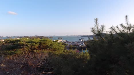 matushima in japan bay from above