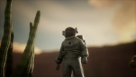 astronauta en el alto desierto de nevada