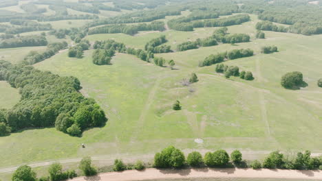 trees in the green meadow on a sunny summer day in leach, oklahoma