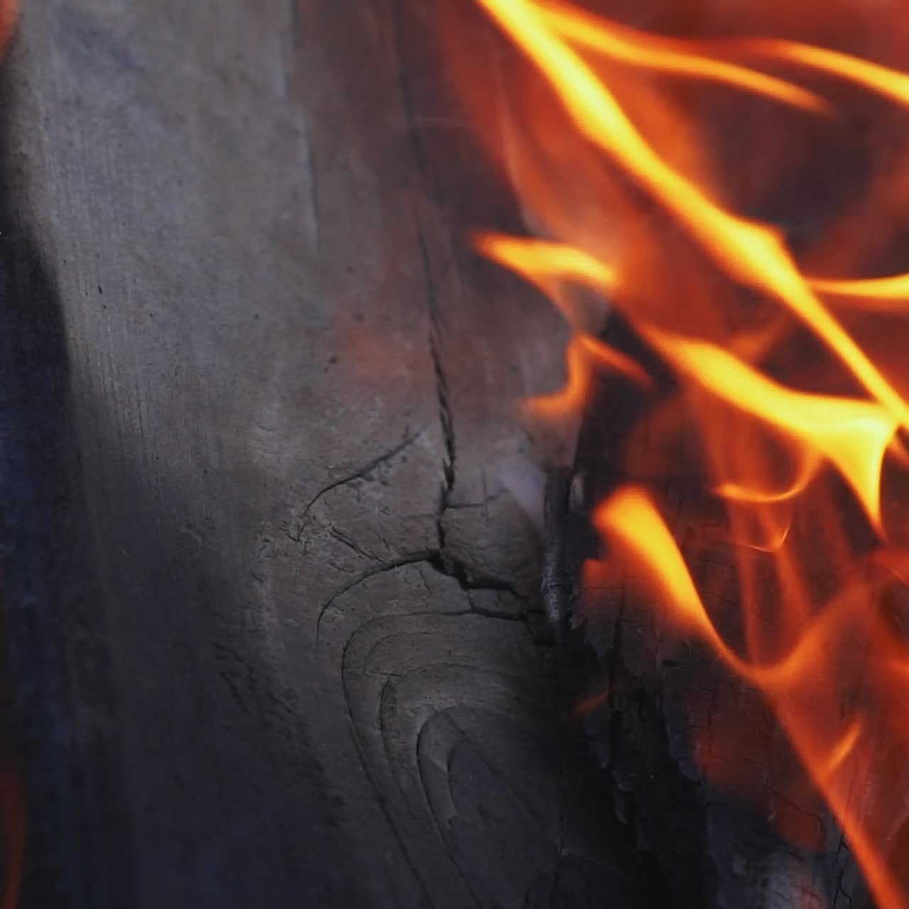 Background of the Fire. Campfire of the Branches Burn at Night in the Forest. Background of the fire. Red flames surging