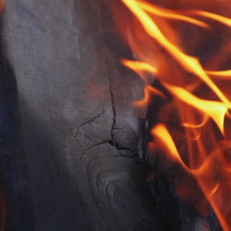 background of the fire. campfire of the branches burn at night in the forest. background of the fire. red flames surging