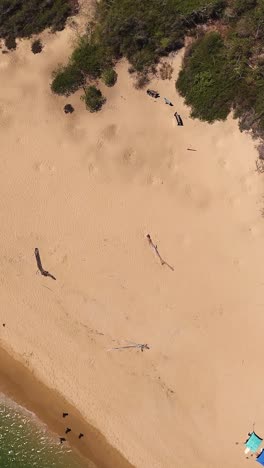 vertical aerial view of golden sand on beaches of mexico, huatulco oaxaca