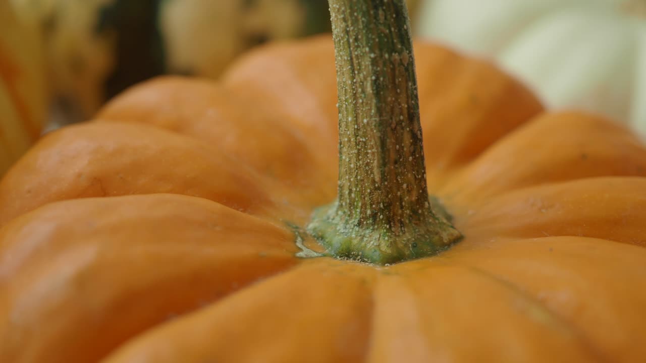 un primer plano de una calabaza