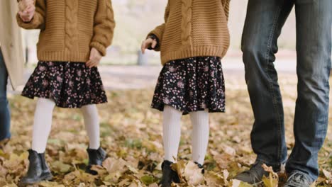 vídeos de la familia caminando en el bosque de otoño