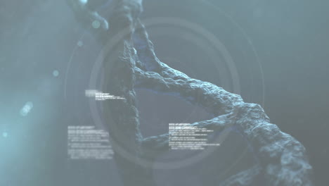 animación de cadenas de adn y procesamiento de datos científicos