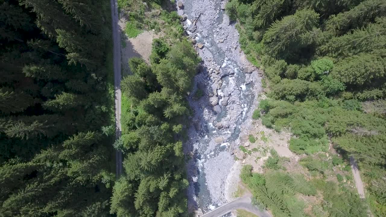 una vista aérea de arriba hacia abajo de un río de deshielo rodeado de árboles alpinos