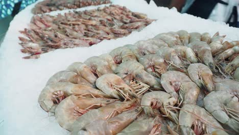 fresh shrimp displayed on ice
