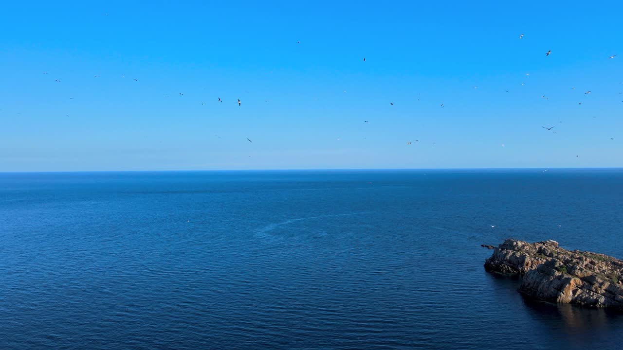 A breathtaking view of the deep blue sea meeting the clear sky, with rugged rocks in the foreground, capturing the essence of natural serenity and coastal beauty.