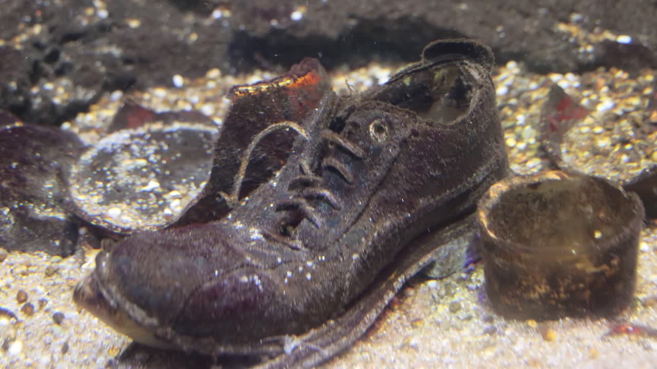 problemas medioambientales relacionados con la contaminación del agua.