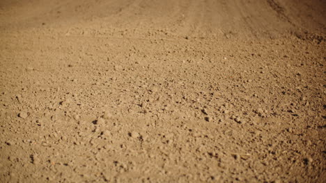 close-up of plowed agricultural field