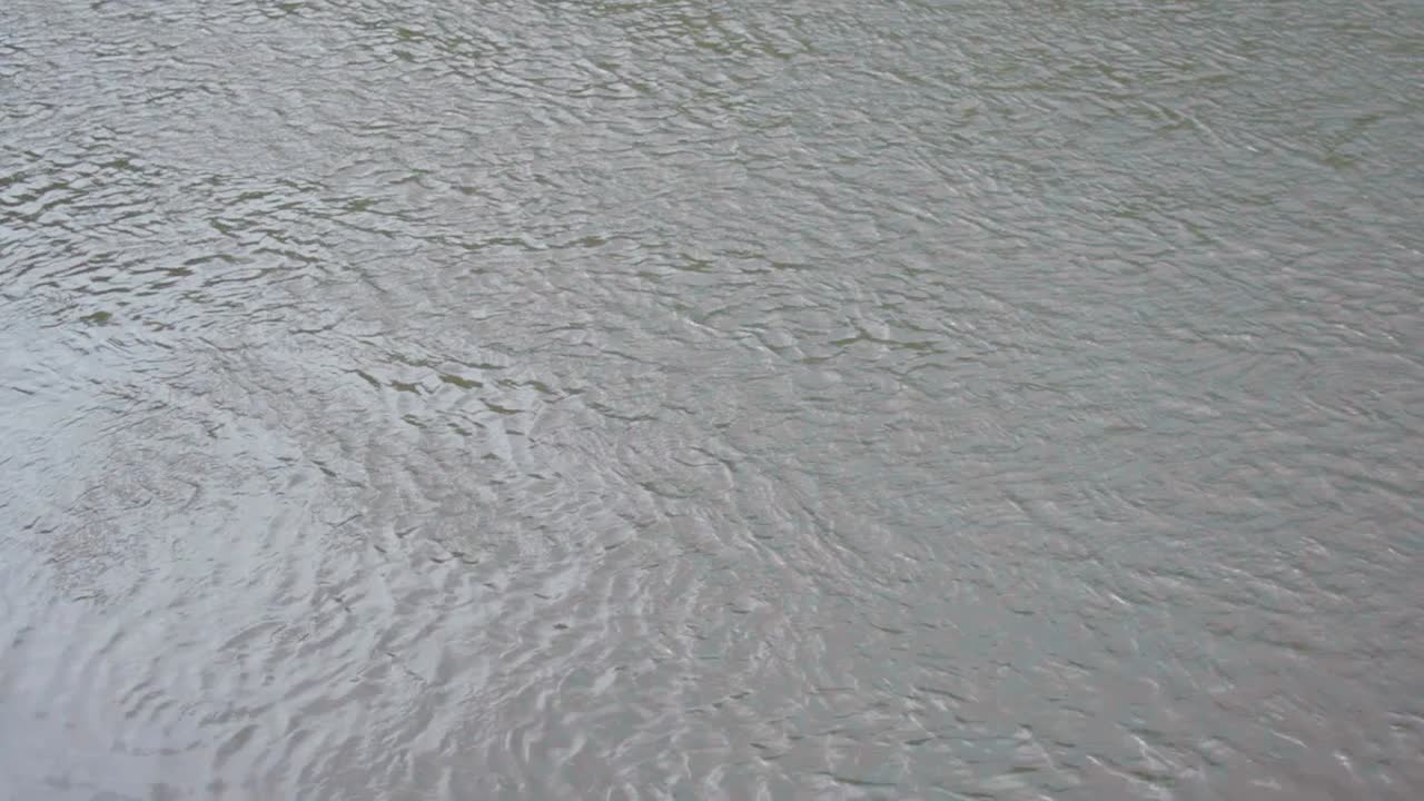 Rippled Water Surface