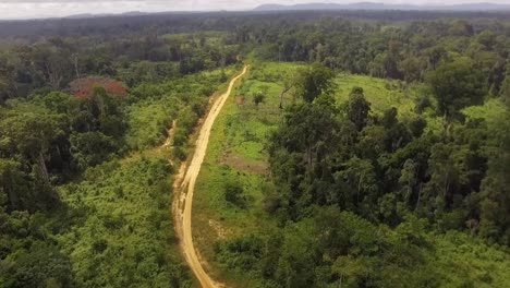 aerial drone view towards a small sand road, in the jungle, on a sunny day, in nanga eboko forest, haute-sanaga, southern cameroon