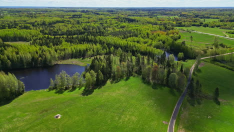 green field and pine spruce tree forest by natural freshwater lake, aerial drone