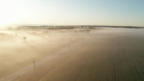 Nebel-Bedeckt-Bei-Sonnenaufgang-Maisfelder-Auf-Riesigen-Farmen-In-Den-Ebenen