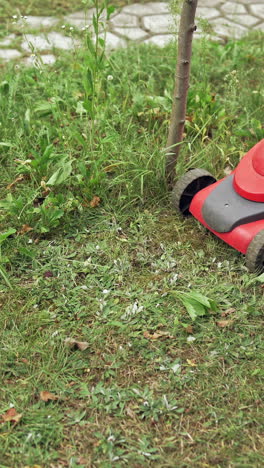 boy is working with lawn mower. electric lawn mower cutting grass in the yard. gardening activity. vertical video