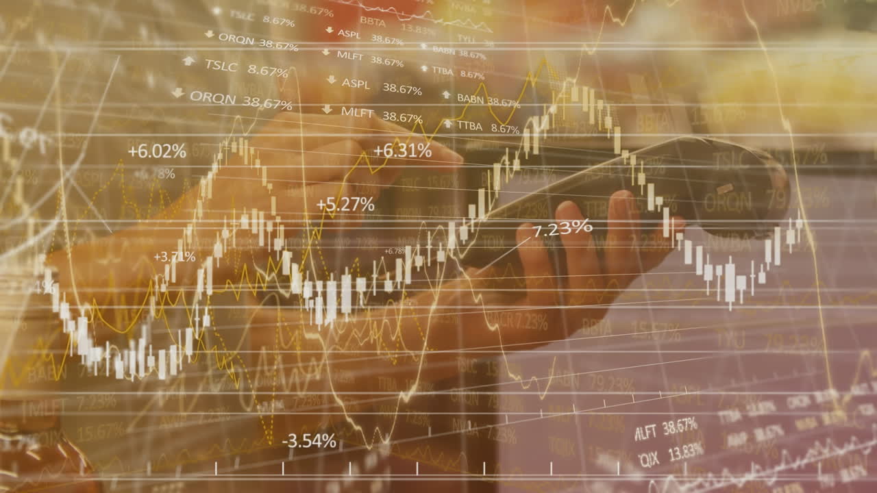 페이먼트 터미널에 핀 번호를  ⁇ 입하는 사람에 대한 금융 데이터 처리 애니메이션