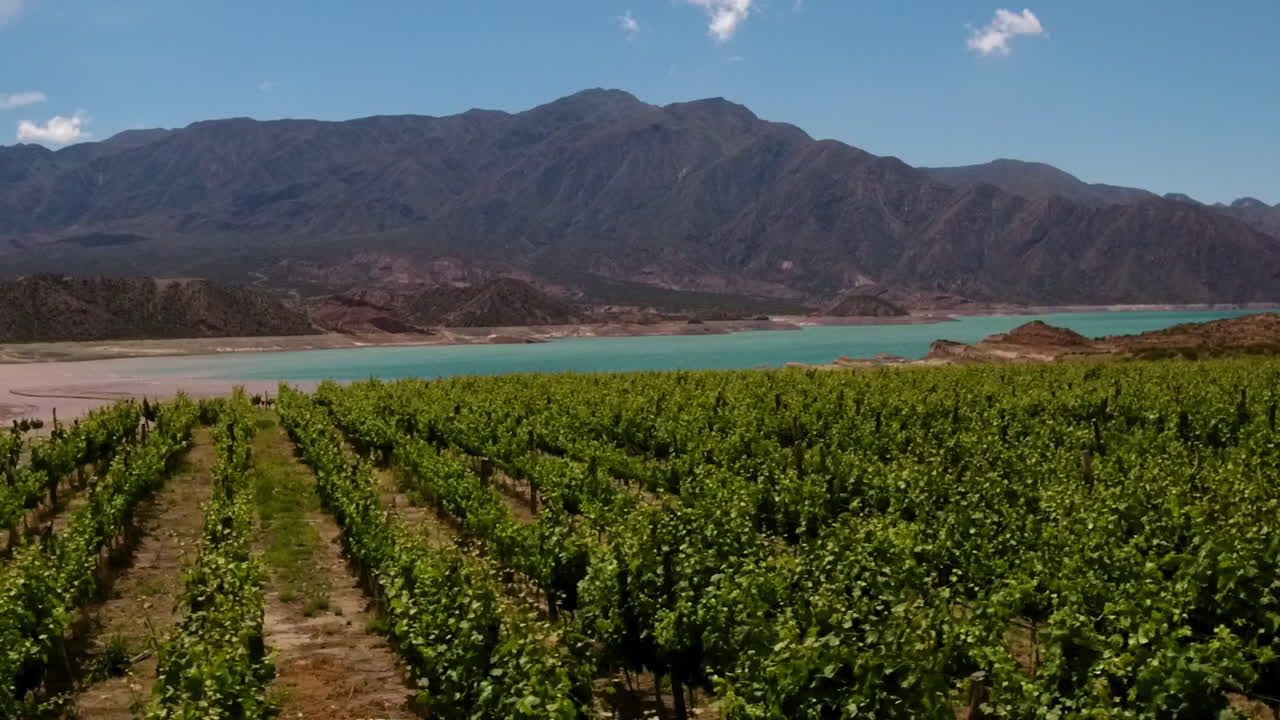 aéreo - viña, lago y montañas, mendoza, argentina, wide shot dolly right