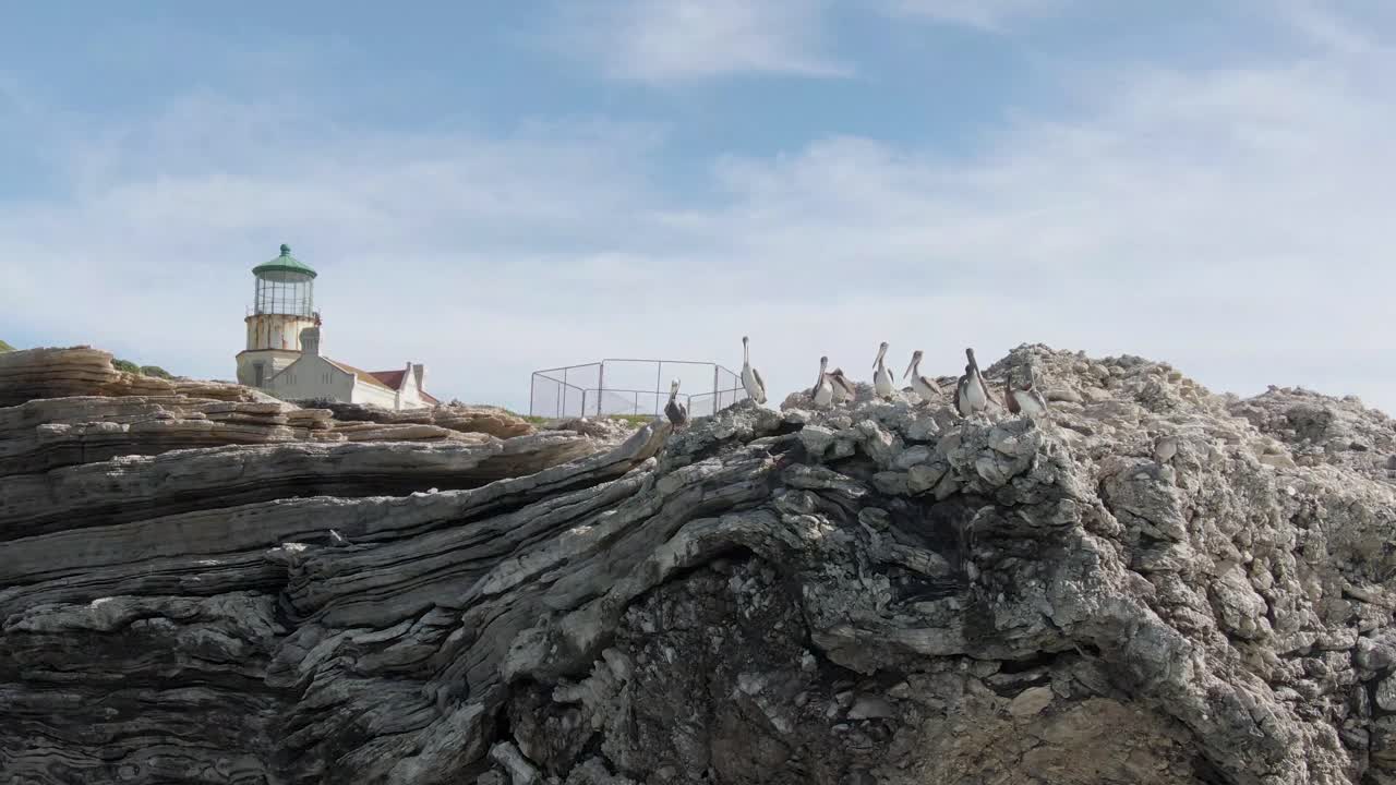 유서 깊은 등대의 새들