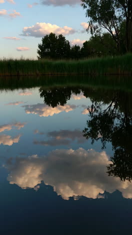 reflective pond at sunset/sunrise