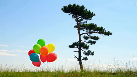 colorful balloons and a lone tree in a grassy field
