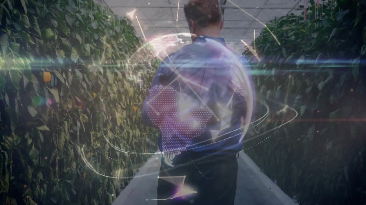 Tecnologia de estufa mostrando corredor com plantas ladeadas com polígonos esmaecendo, formando um globo 3D mostrando a rede