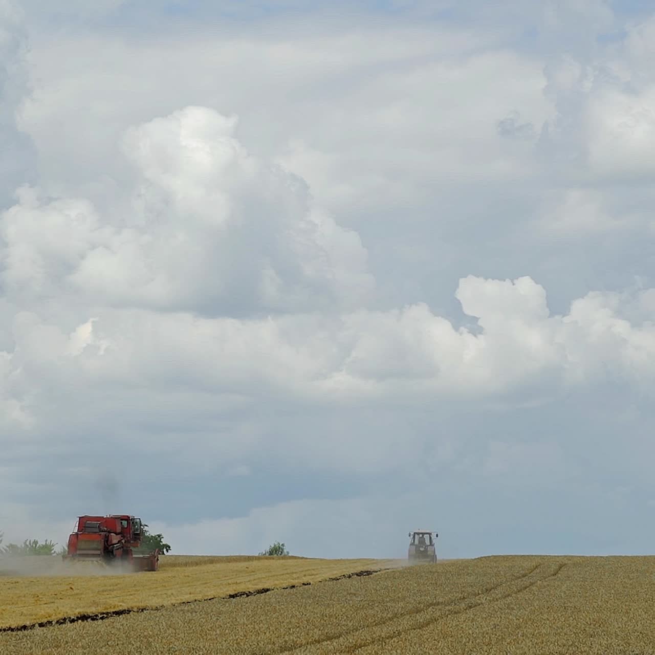 Grain harvesting equipment in the field. Harvest time. Wheat field