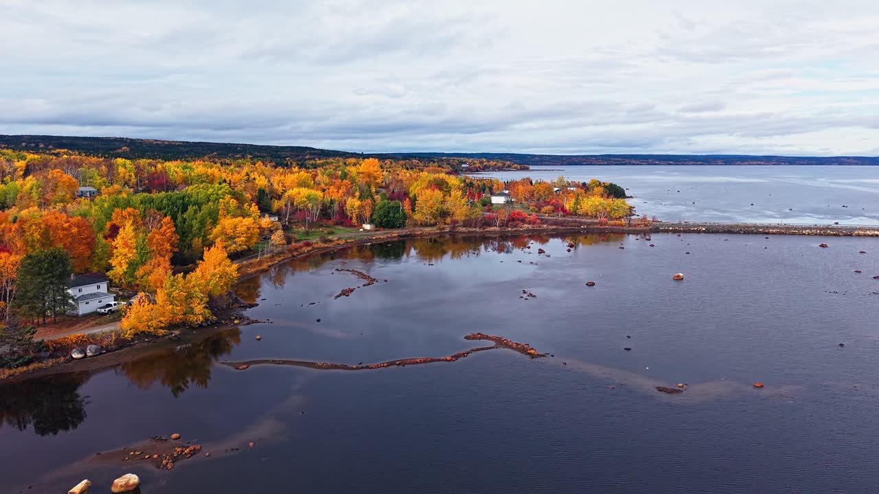 Drone glides over a shallow bay dotted with rocks and logs, pointing toward a vibrant autumn shoreline of houses and trees in Port Blandford