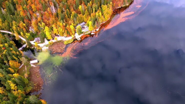 Una splendida vista di un lago dorato con un molo e alberi sullo sfondo