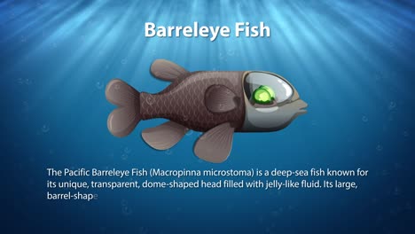 animated journey of a barreleye fish in deep ocean