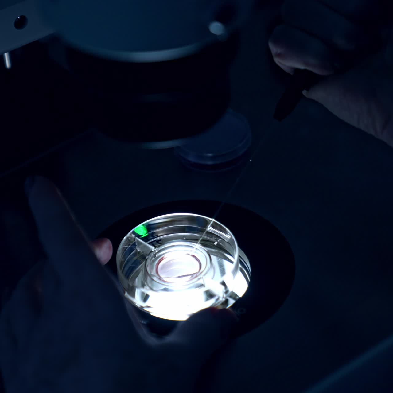 IVF specialist working in laboratory. Medic working in dark room using microscope for the in vitro fertilization