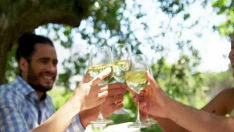 happy two couples toasting wine glasses