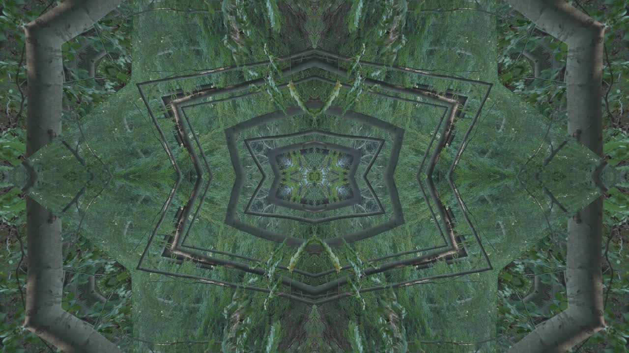 caleidoscopio de vegetación usando imágenes de bosque de wissahickon creek, philadelphia, #64