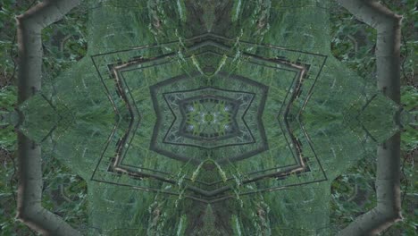 Grünes-Kaleidoskop-Mit-Waldbildern-Aus-Wissahickon-Creek,-Philadelphia,-#64