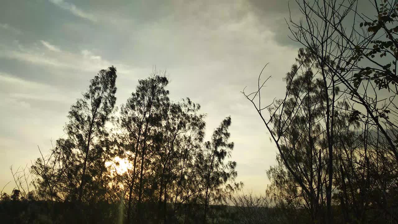 바람 부는 오후 분위기