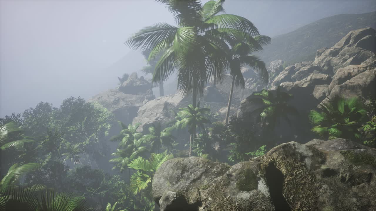 ⁇ 나무 를 가로지르는 해 가 지는 광선