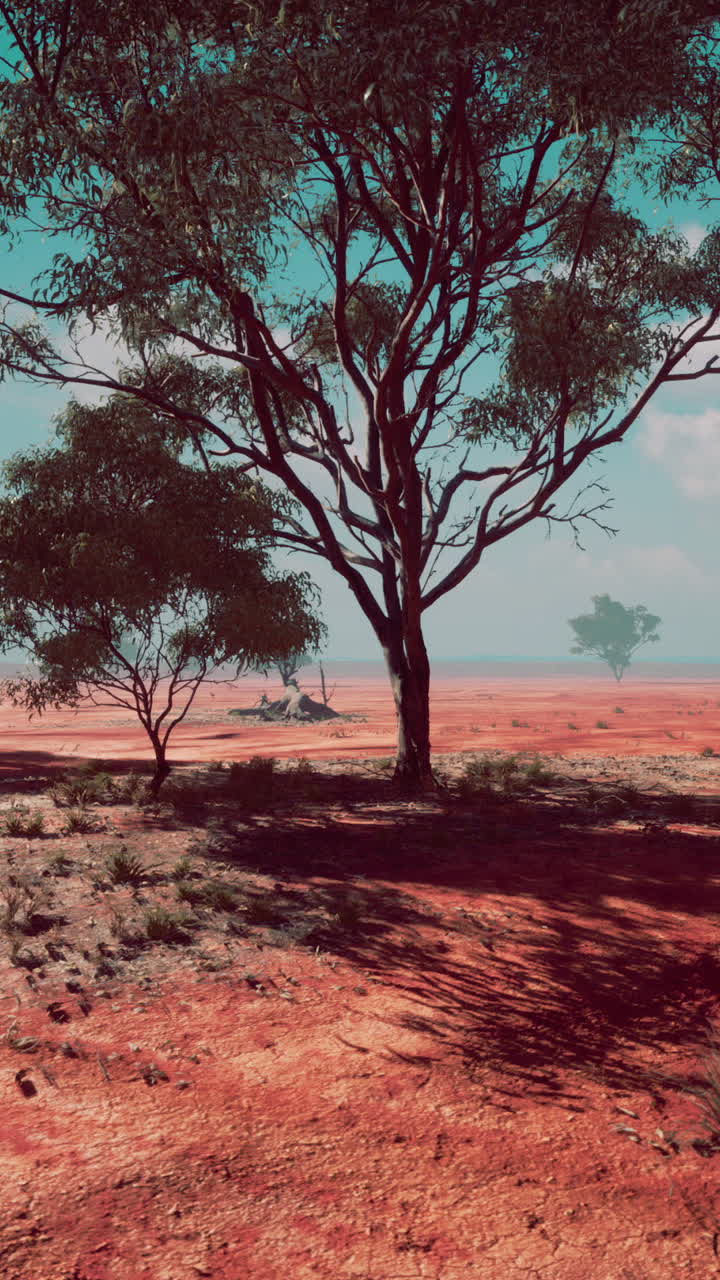 나무 가 있는 사막 풍경