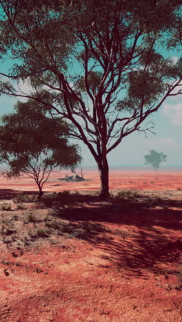 paisaje desértico con árboles