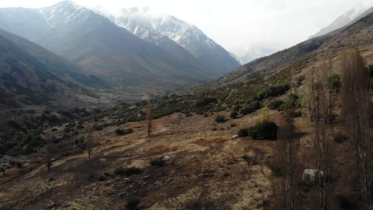 ascendiendo por encima de los árboles revelando un hermoso valle con picos nevados en el fondo en la cordillera de los andes, chile, 4k