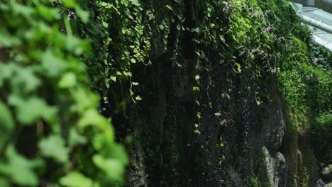 Schießen-Von-Fliegenden-Schmetterlingen-Im-Tropischen-Garten