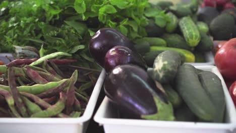 carrots, beans, eggplant, cucumbers, tomatoes, avocados, peaches and grapes in a famer's market - dolly right in slow-motion