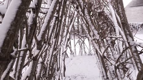 Schneetag-In-Meinem-Heimatdorf